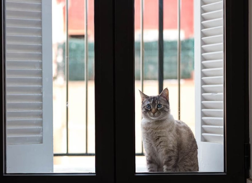 Resale - Apartment - Palma de Mallorca - Palma