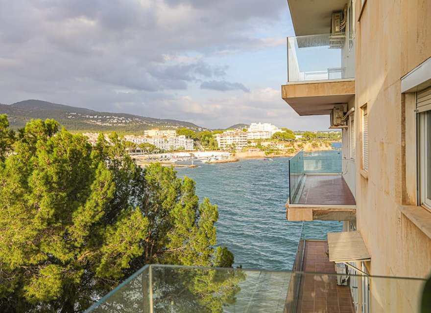 Resale - Apartment - Palmanova