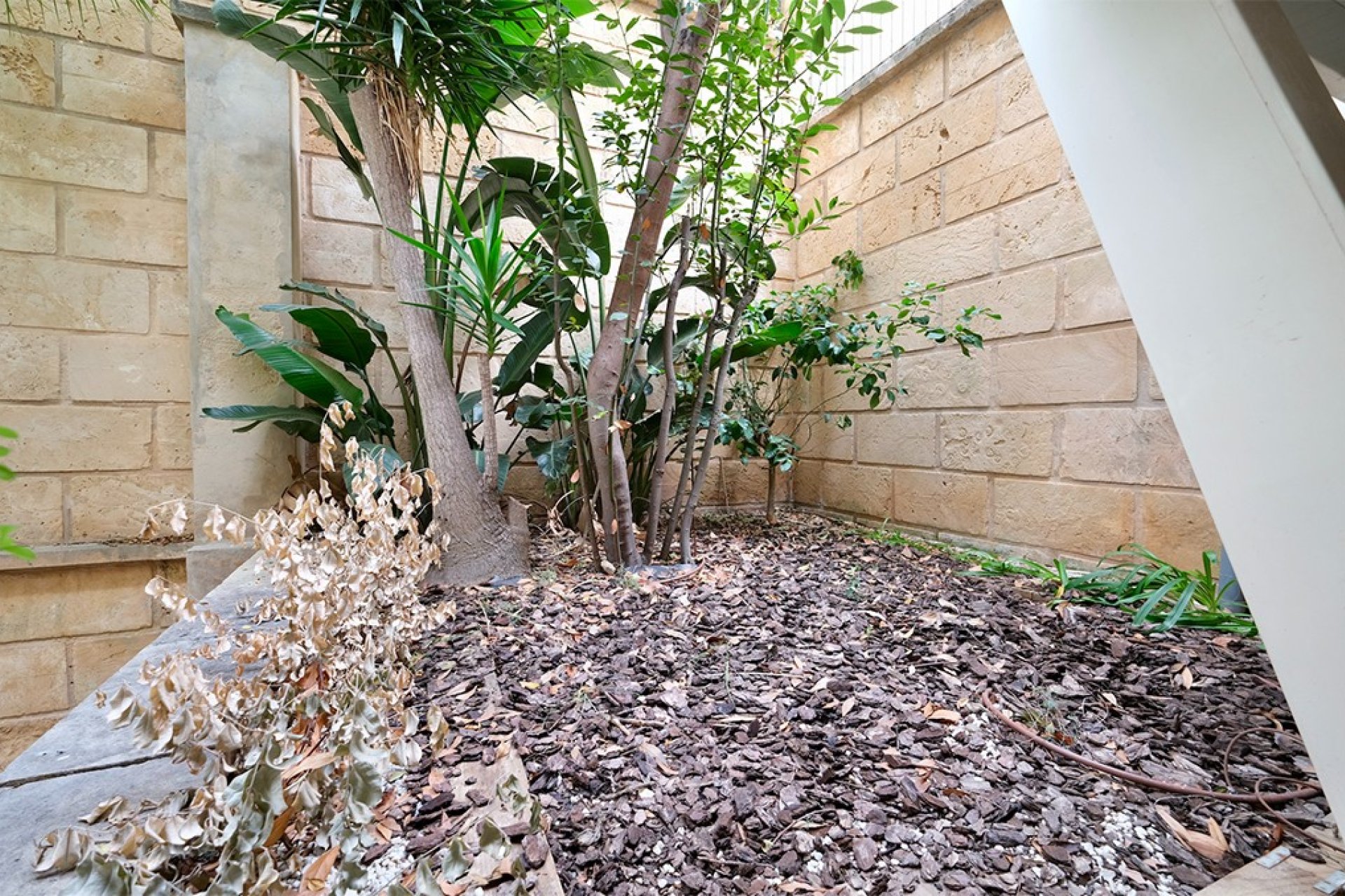 Resale - Apartment - Portals Nous