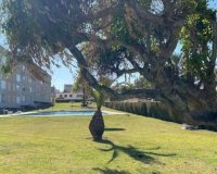 Resale - Apartment - Punta Prima