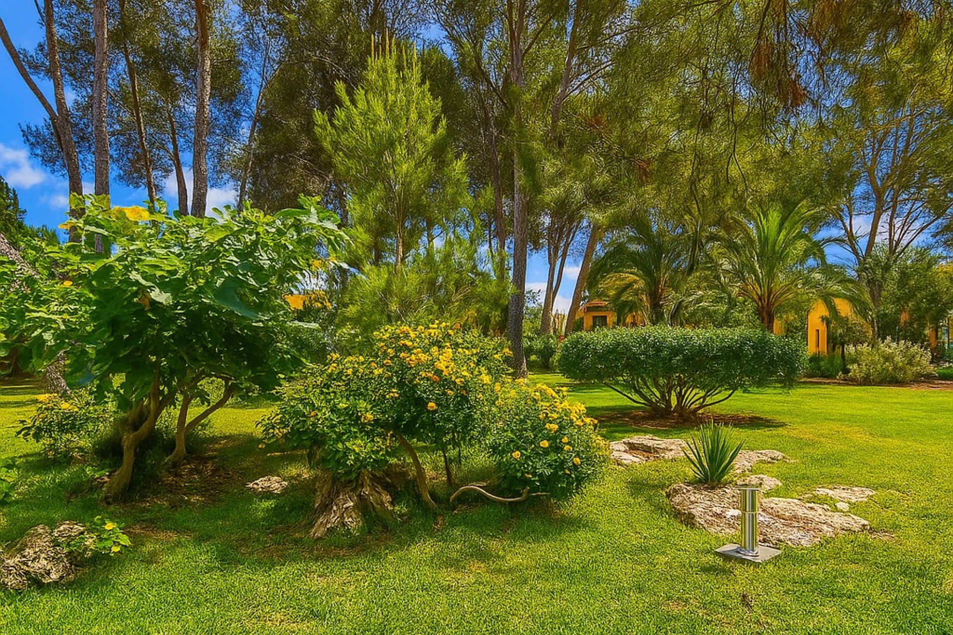 Resale - Apartment - Santa Ponsa