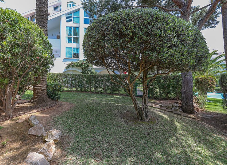 Resale - Apartment - Santa Ponsa