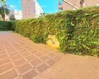 Resale - Apartment - Torrevieja - La Mata