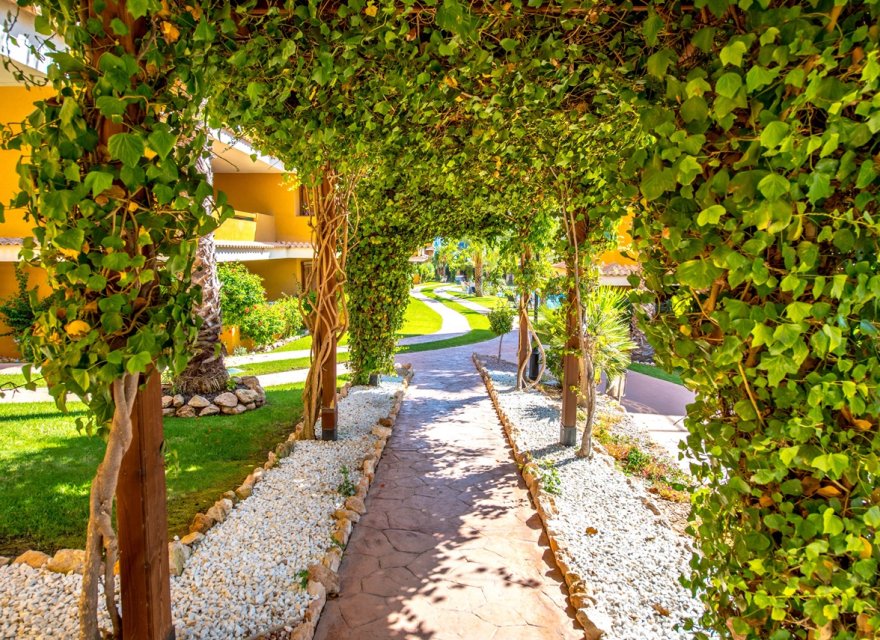 Resale - Apartment - Torrevieja - Punta Prima