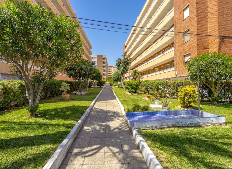 Resale - Apartment - Torrevieja - Punta Prima