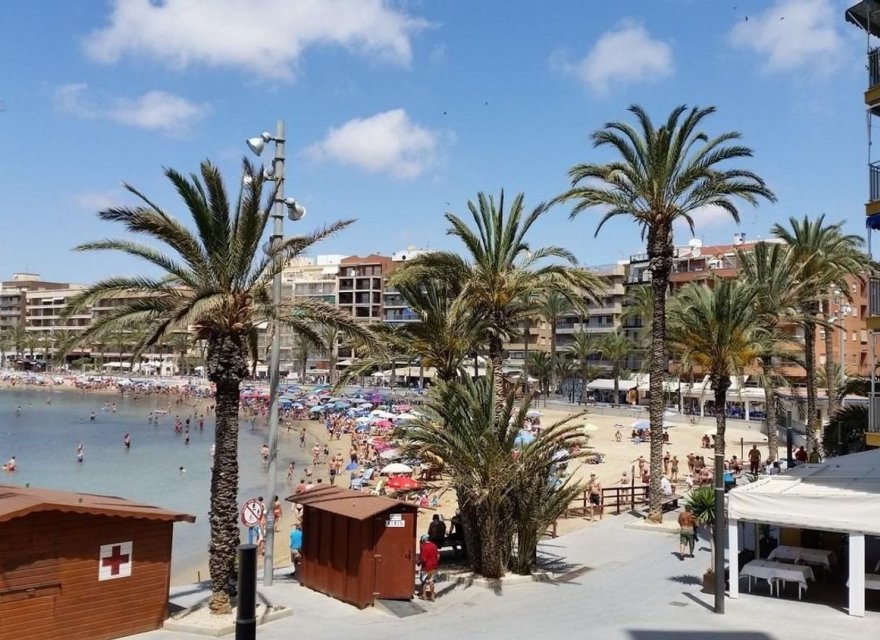 Resale - Apartment - Torrevieja