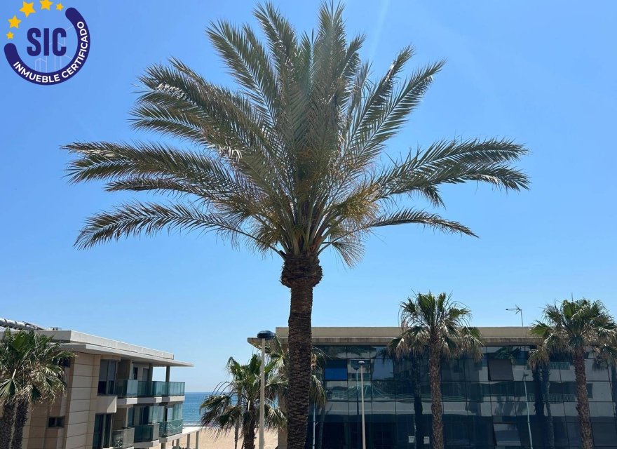 Resale - Apartment - Valencia - La Patacona beach