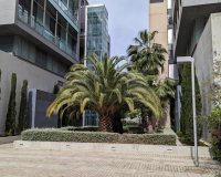 Resale - Apartment - Valencia - Patraix