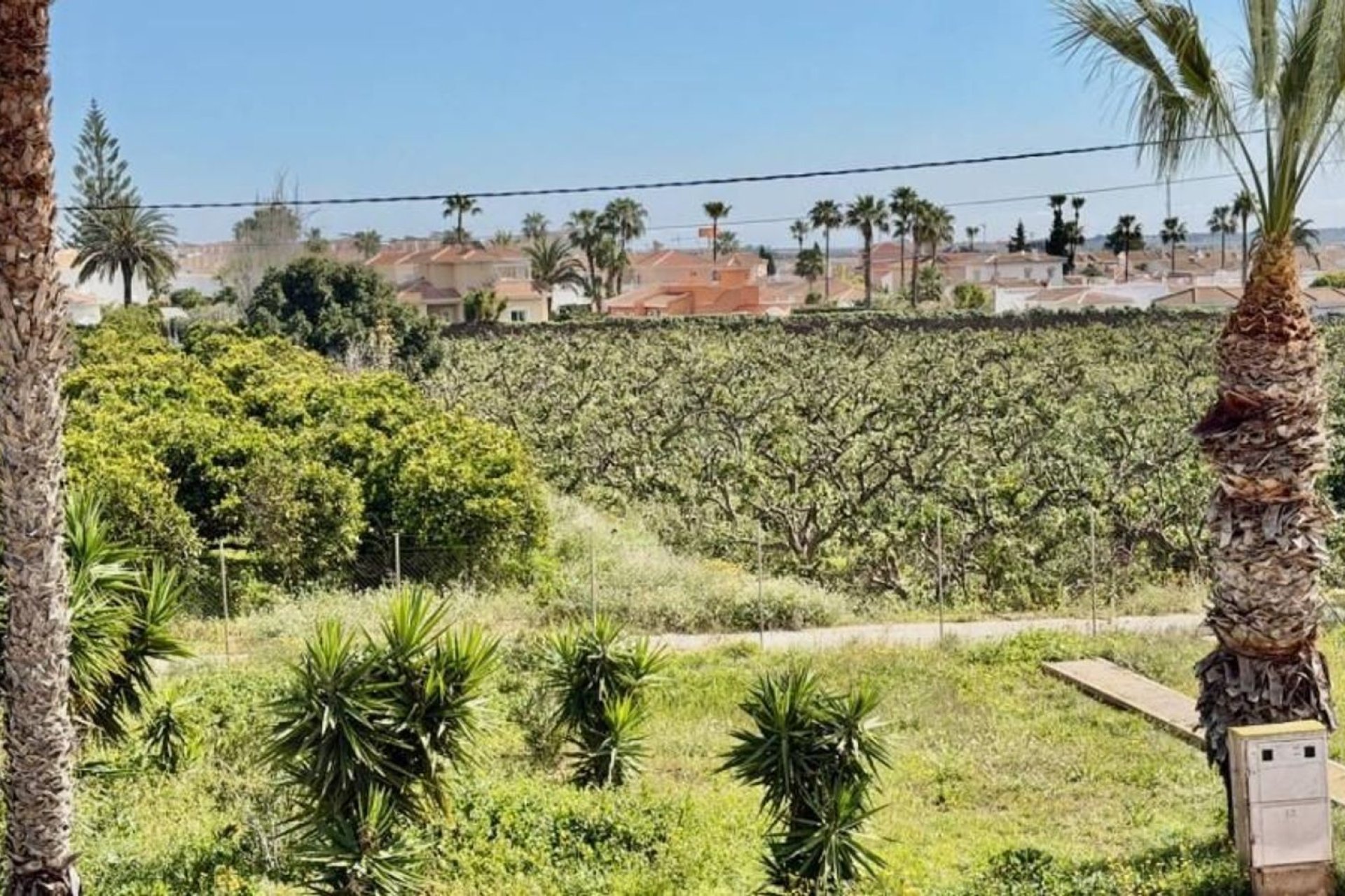 Resale - Bungalow - Ciudad Quesada