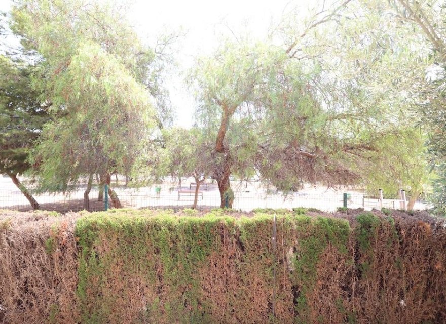 Resale - Bungalow - Orihuela Costa - Costa Blanca