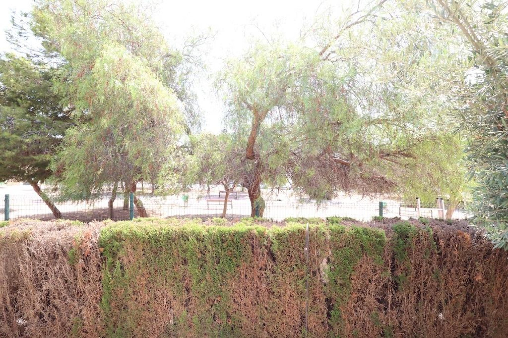 Resale - Bungalow - Orihuela Costa - Costa Blanca