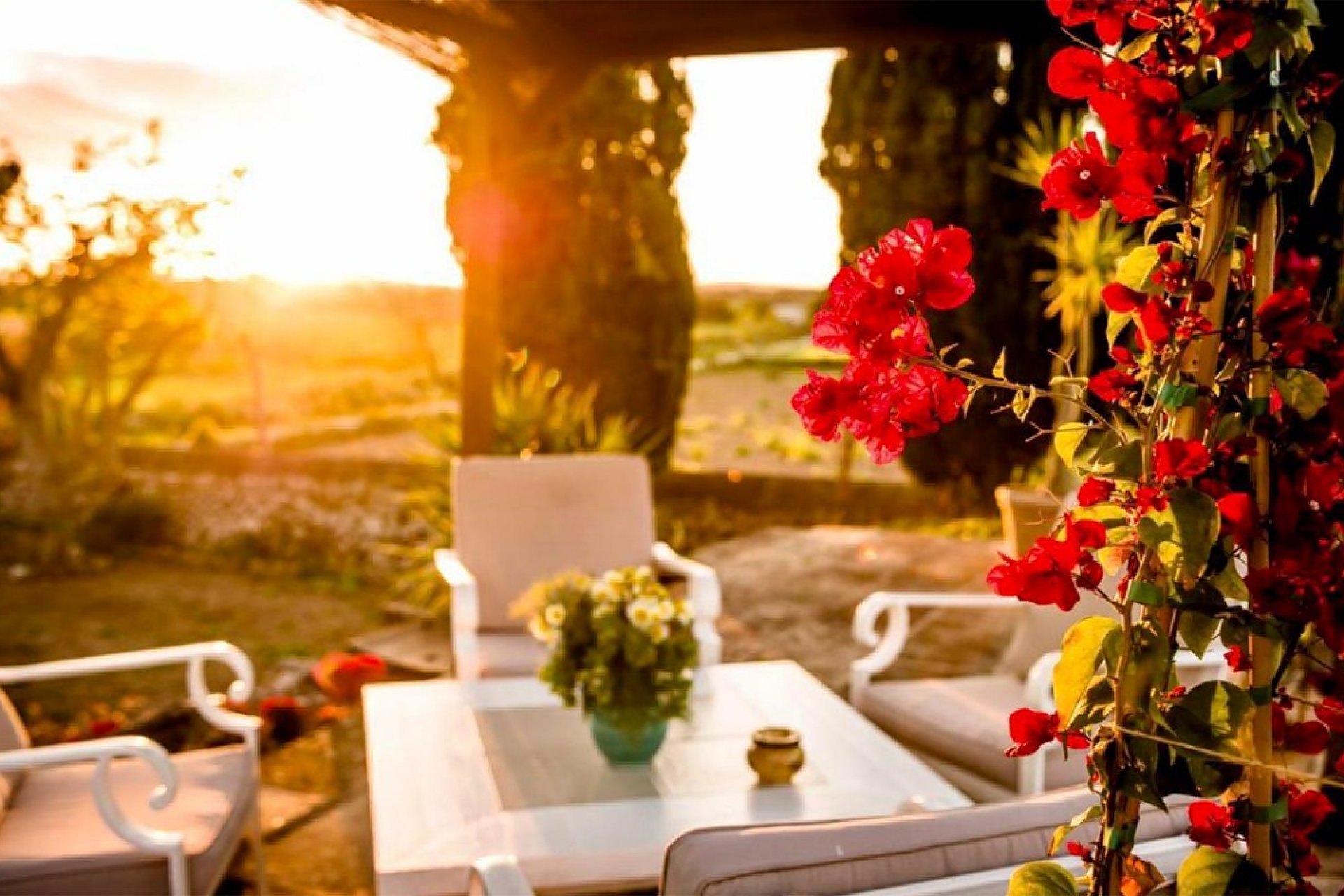 Resale - Commercial - Felanitx