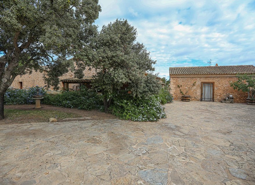 Resale - Commercial - Llucmajor