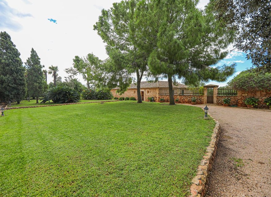 Resale - Commercial - Llucmajor