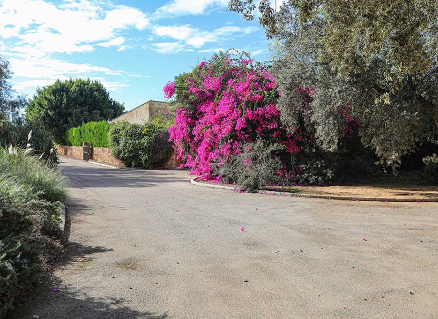 Resale - Commercial - Llucmajor