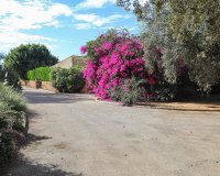 Resale - Commercial - Llucmajor