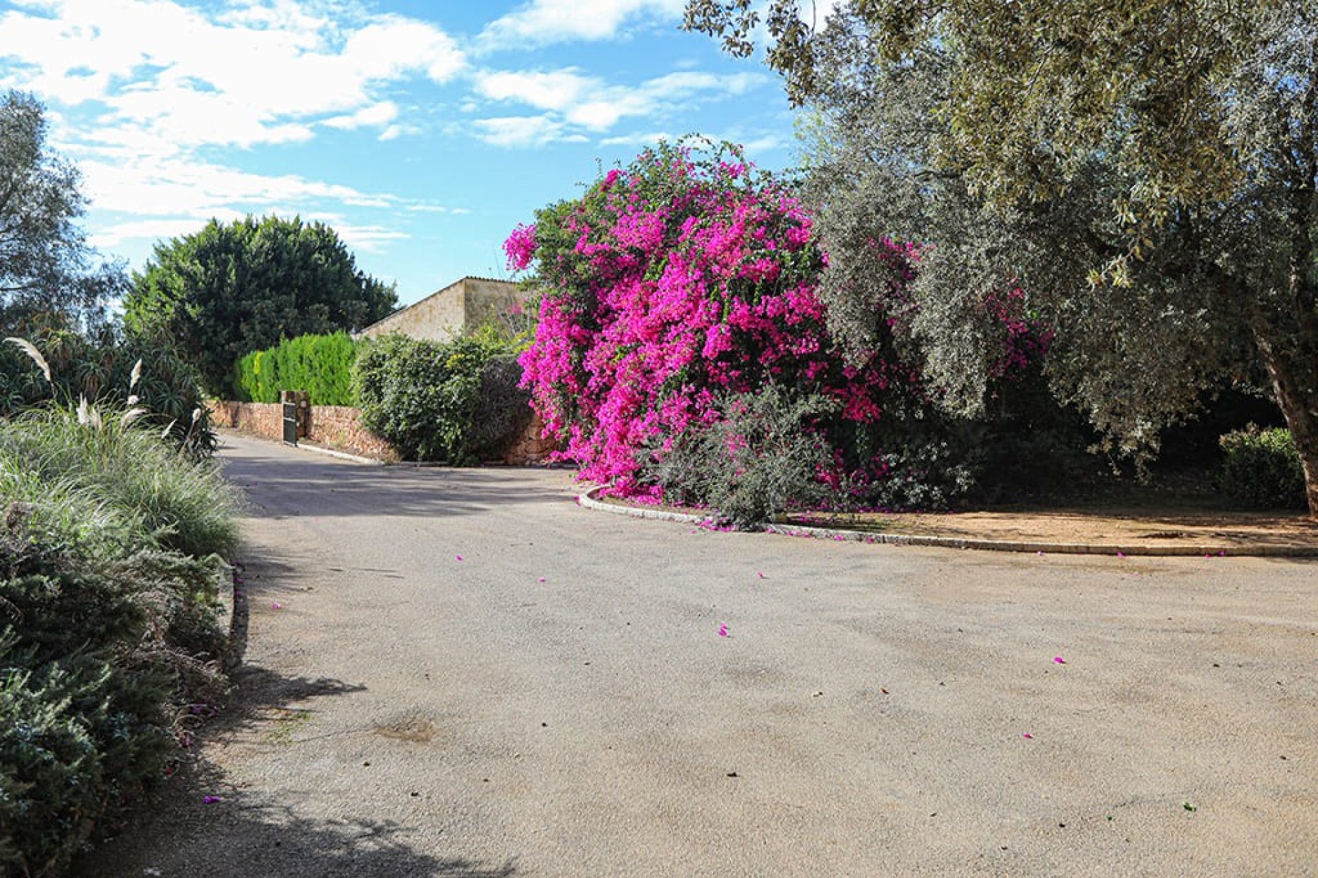 Resale - Commercial - Llucmajor