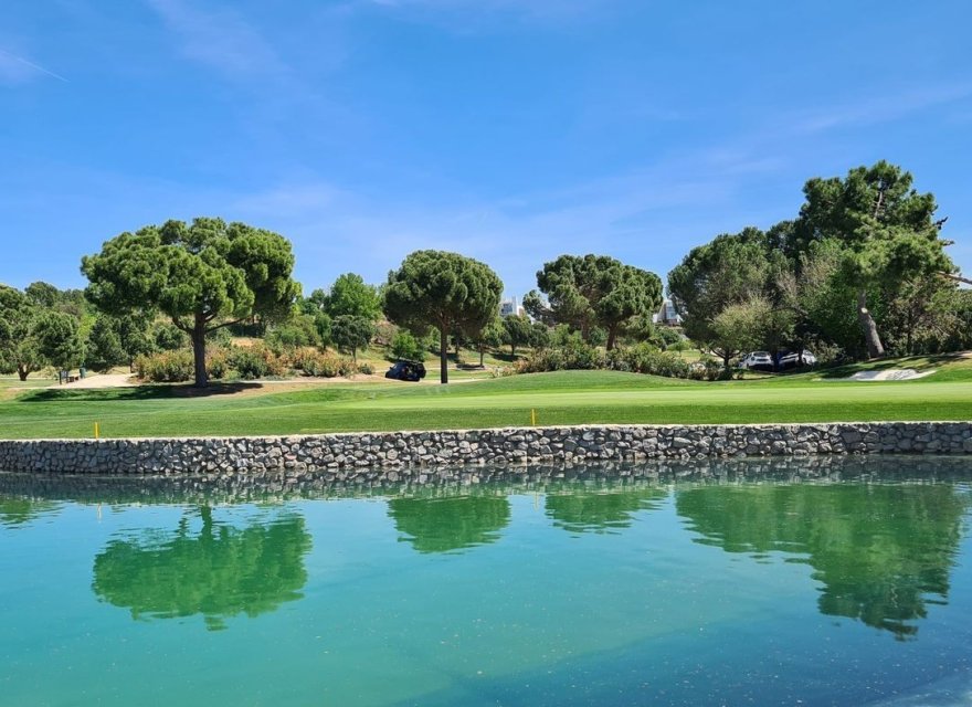 Resale - Duplex - Madrid - La Moraleja