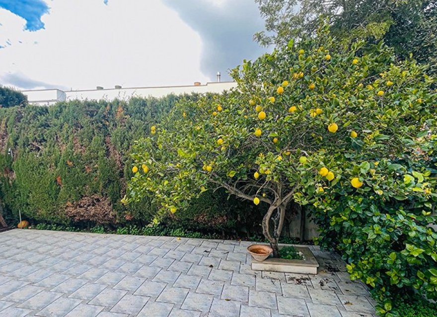 Resale - Duplex - Son Veri Nou