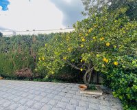 Resale - Duplex - Son Veri Nou