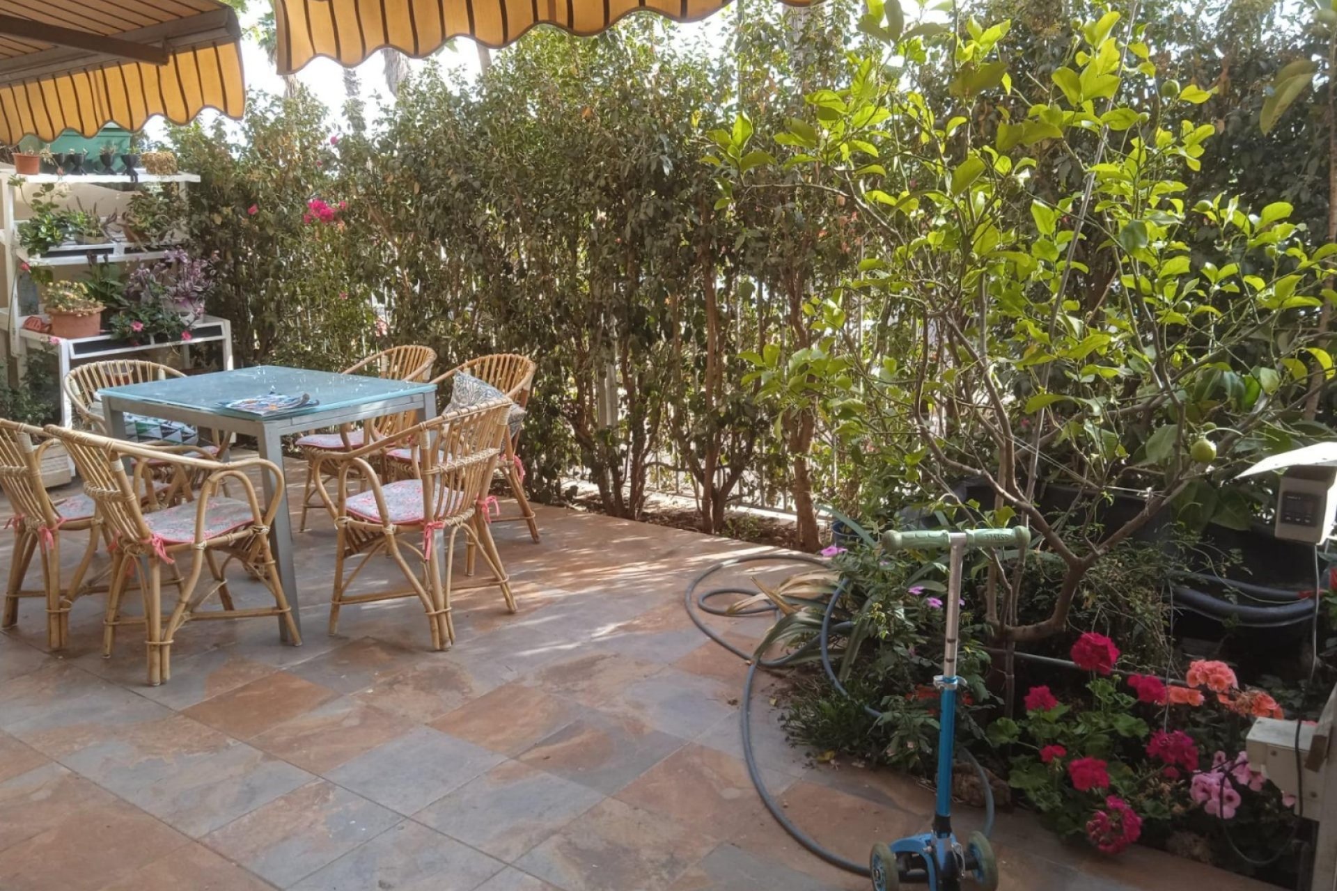 Resale - Duplex - Valencia - Campanar