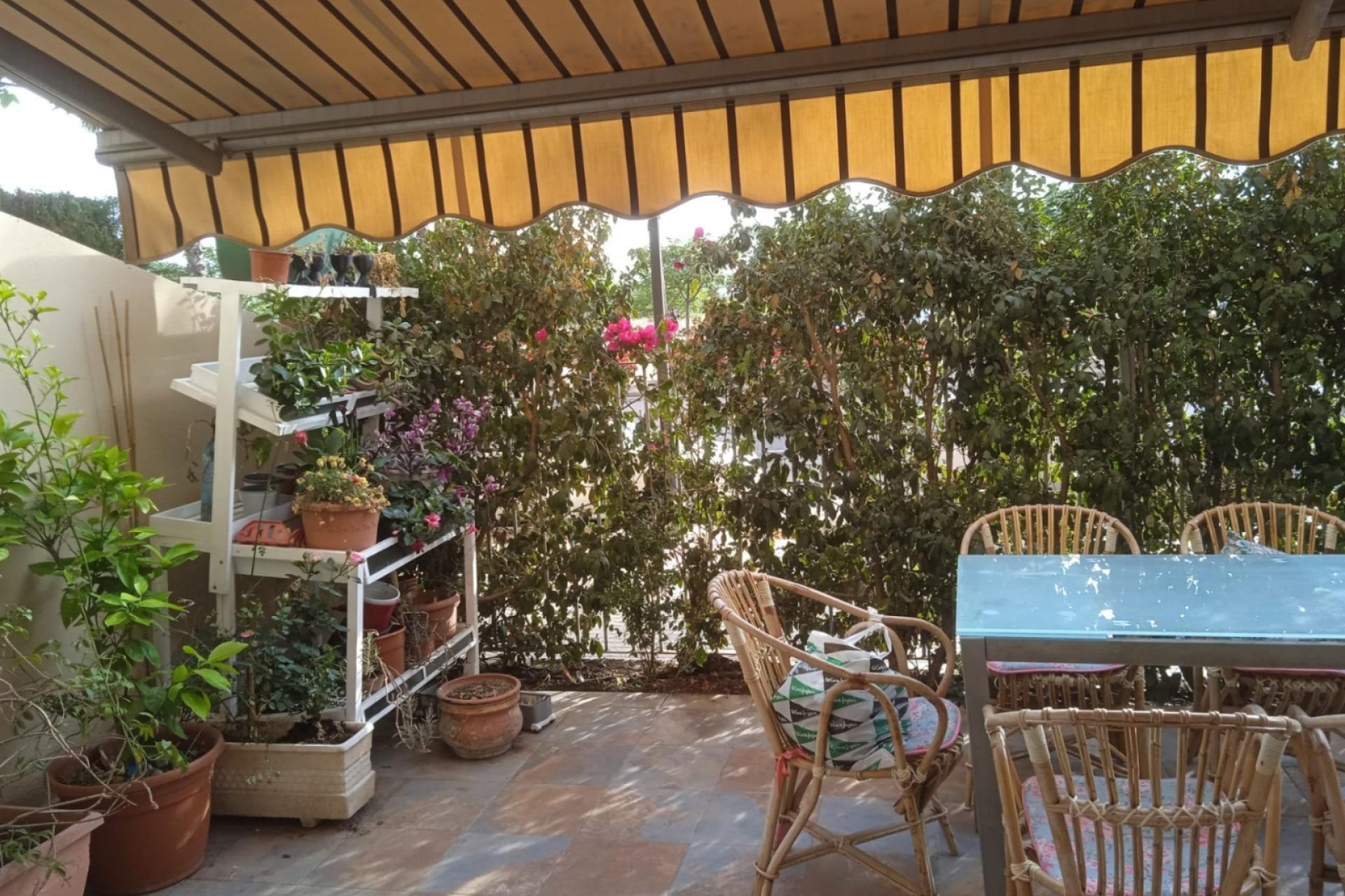 Resale - Duplex - Valencia - Campanar