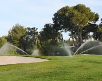 Resale - Duplex - Villamartin - Villamartín