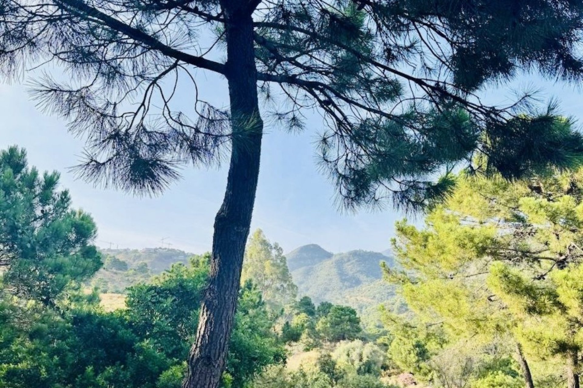 Resale - Land - Benahavís - Costa del Sol