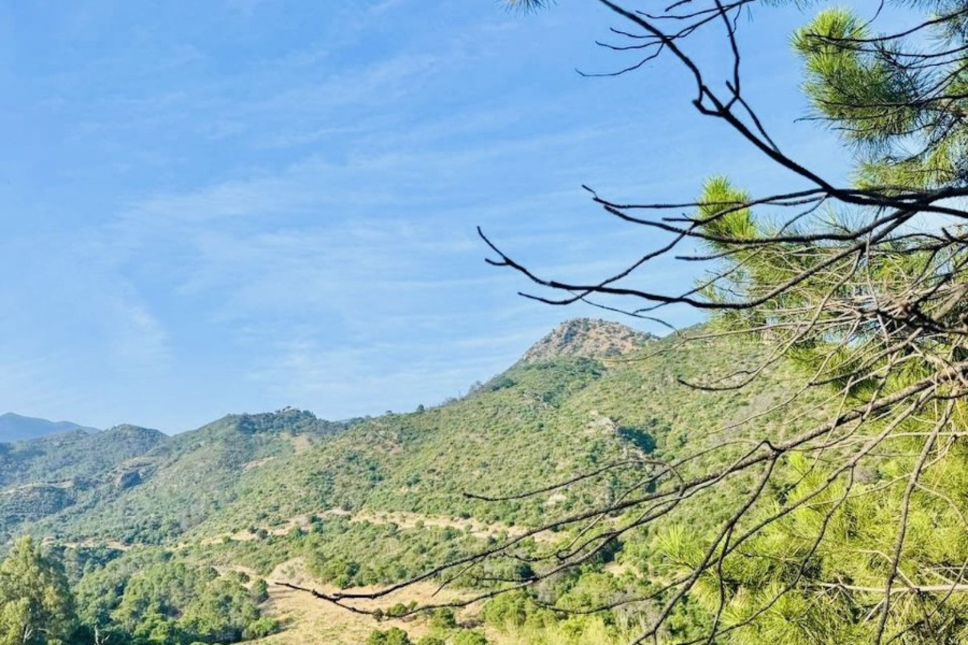 Resale - Land - Benahavís - Costa del Sol