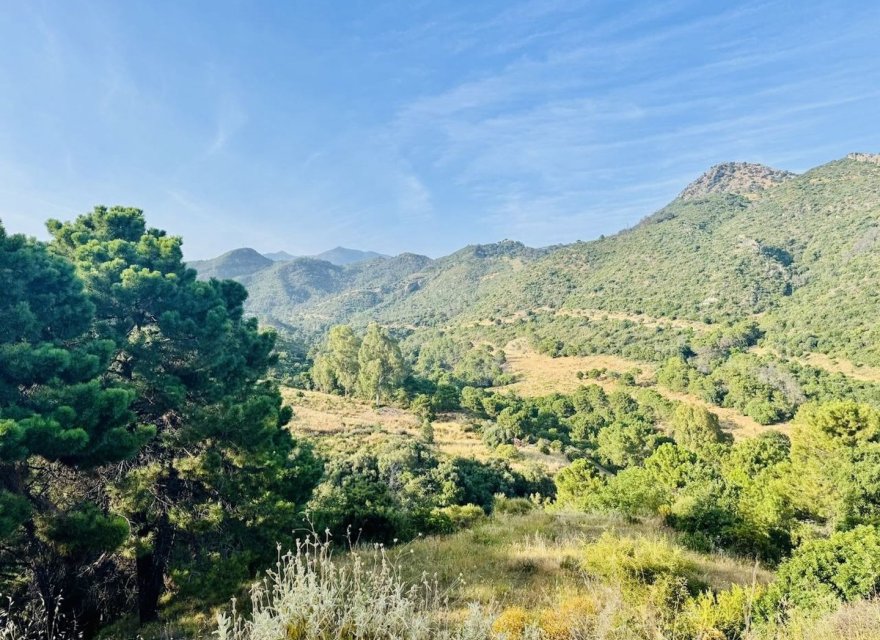 Resale - Land - Benahavís - Costa del Sol