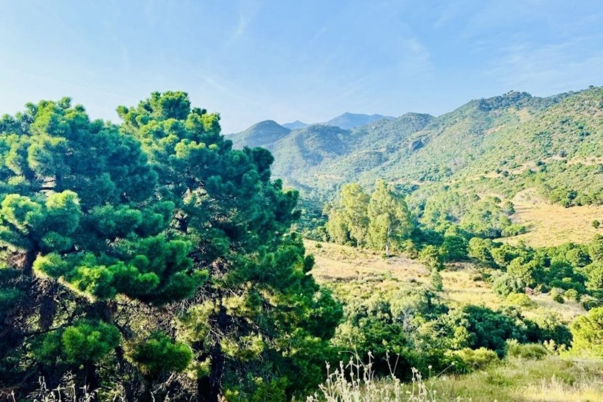 Resale - Land - Benahavís - Costa del Sol