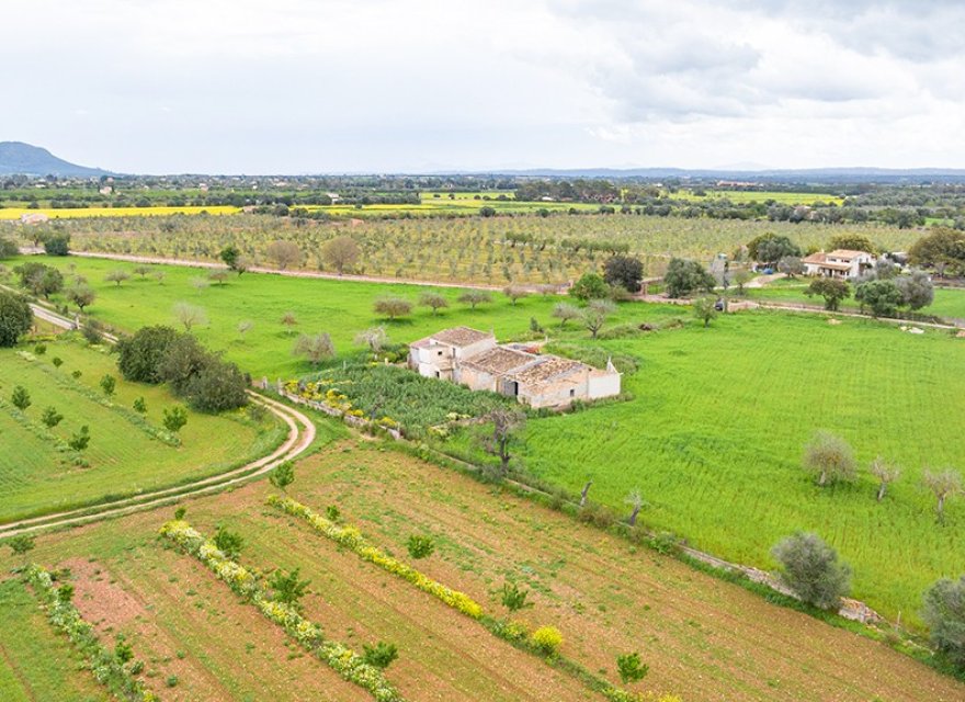 Resale - Land - Binissalem