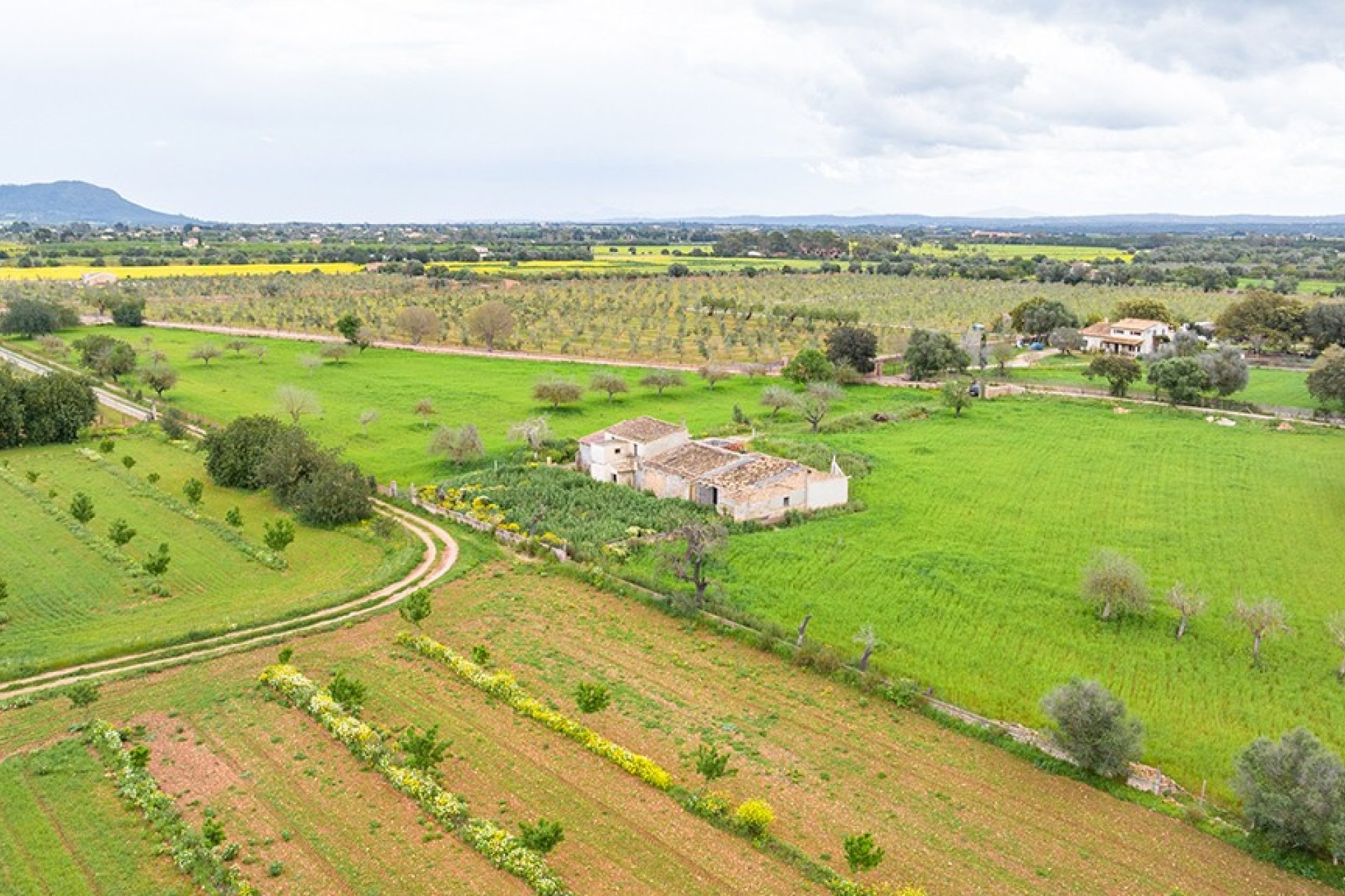 Resale - Land - Binissalem