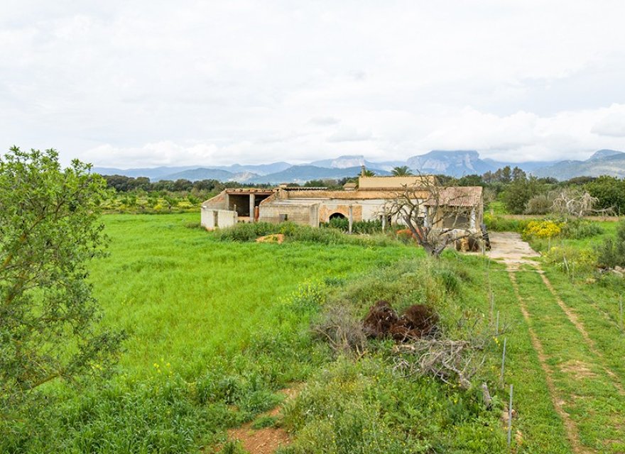 Resale - Land - Binissalem