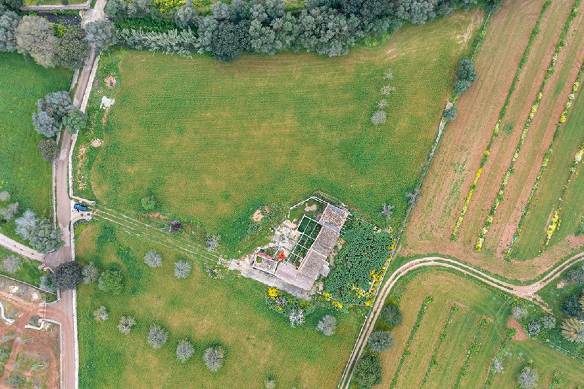 Resale - Land - Binissalem