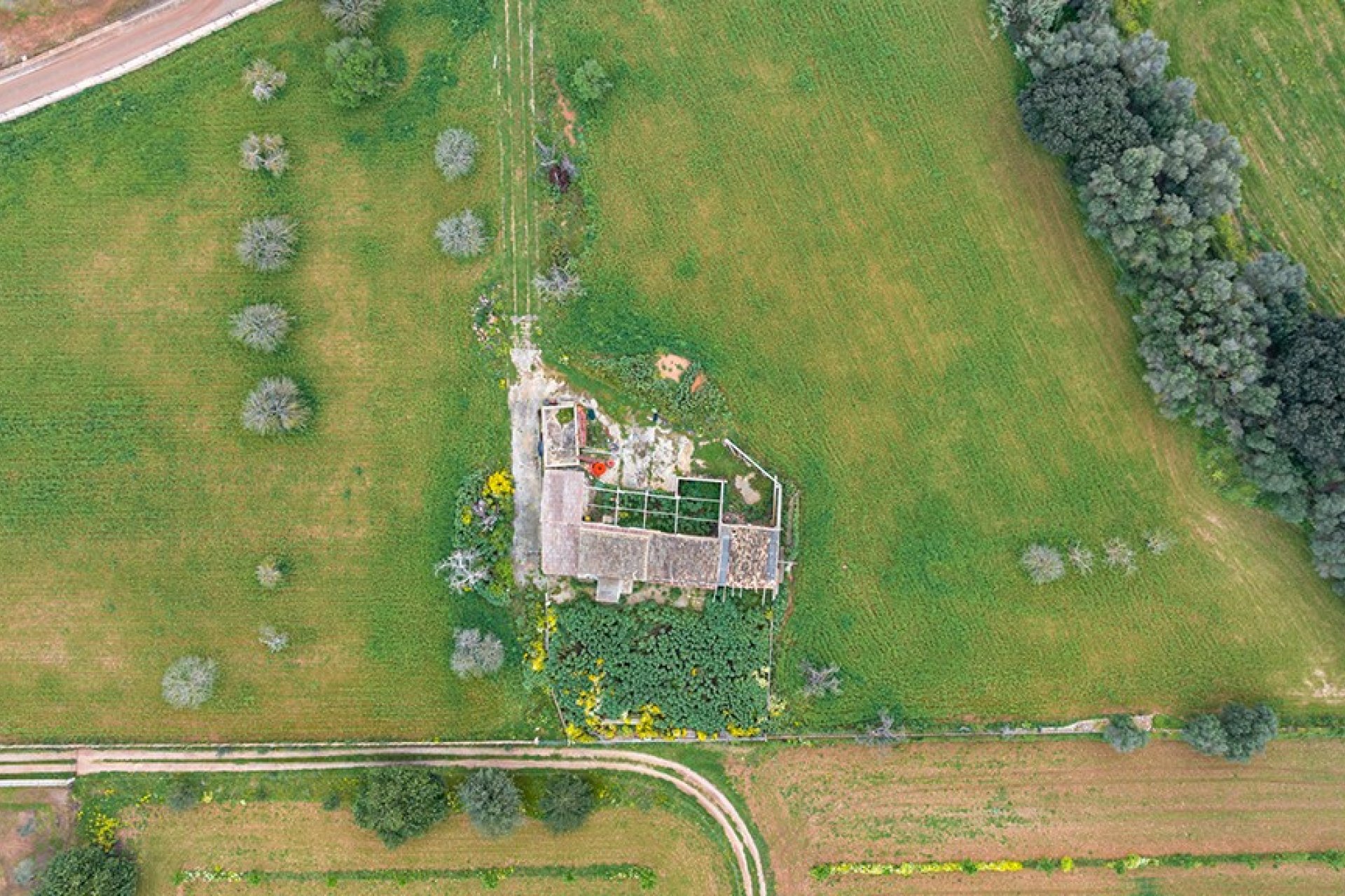 Resale - Land - Binissalem