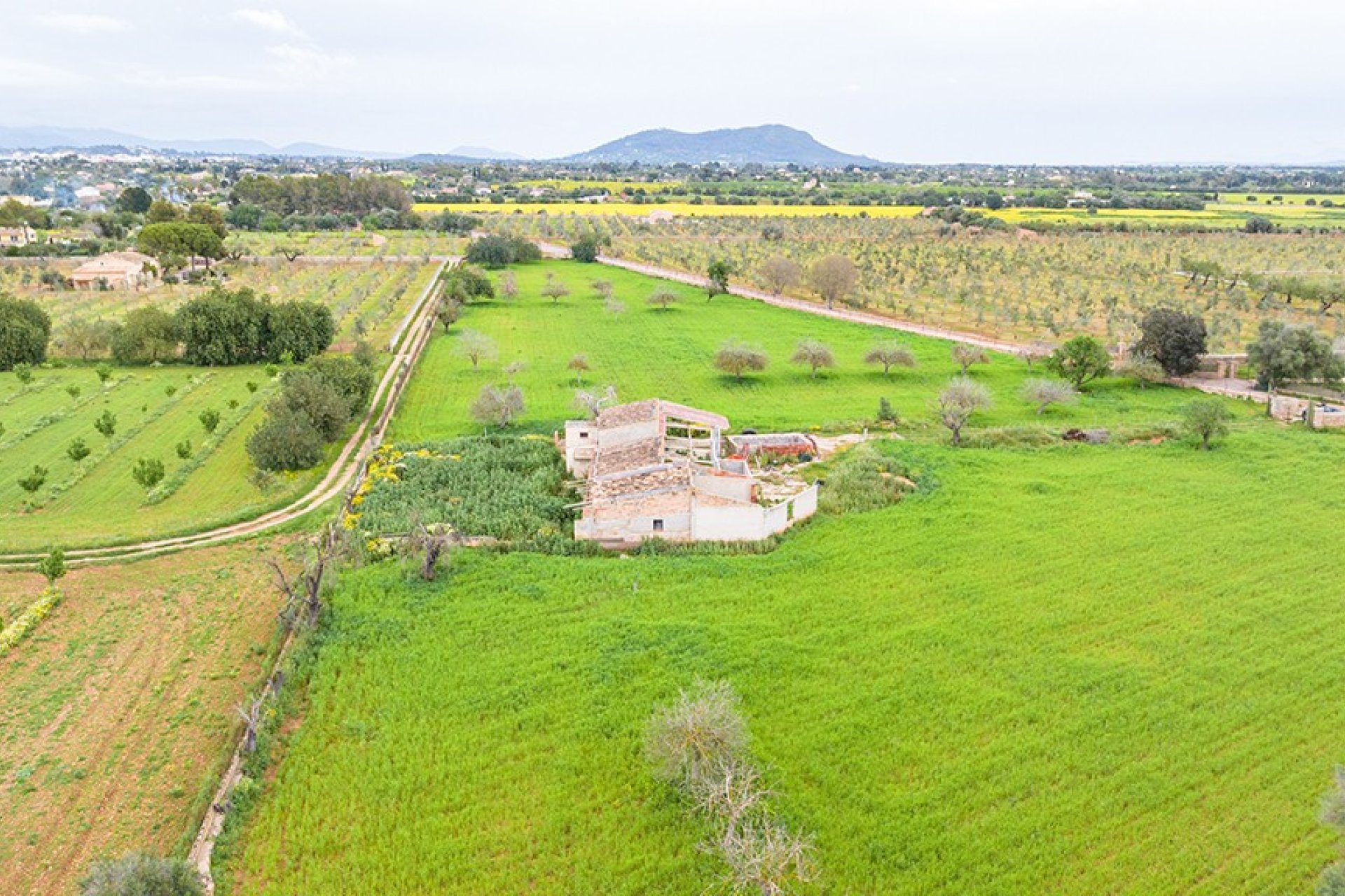 Resale - Land - Binissalem