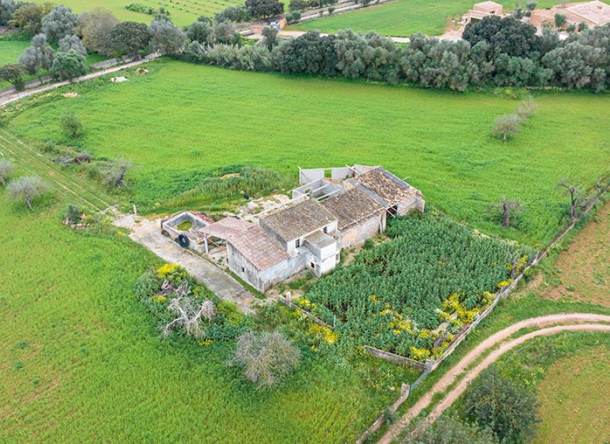 Resale - Land - Binissalem