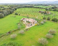 Resale - Land - Binissalem