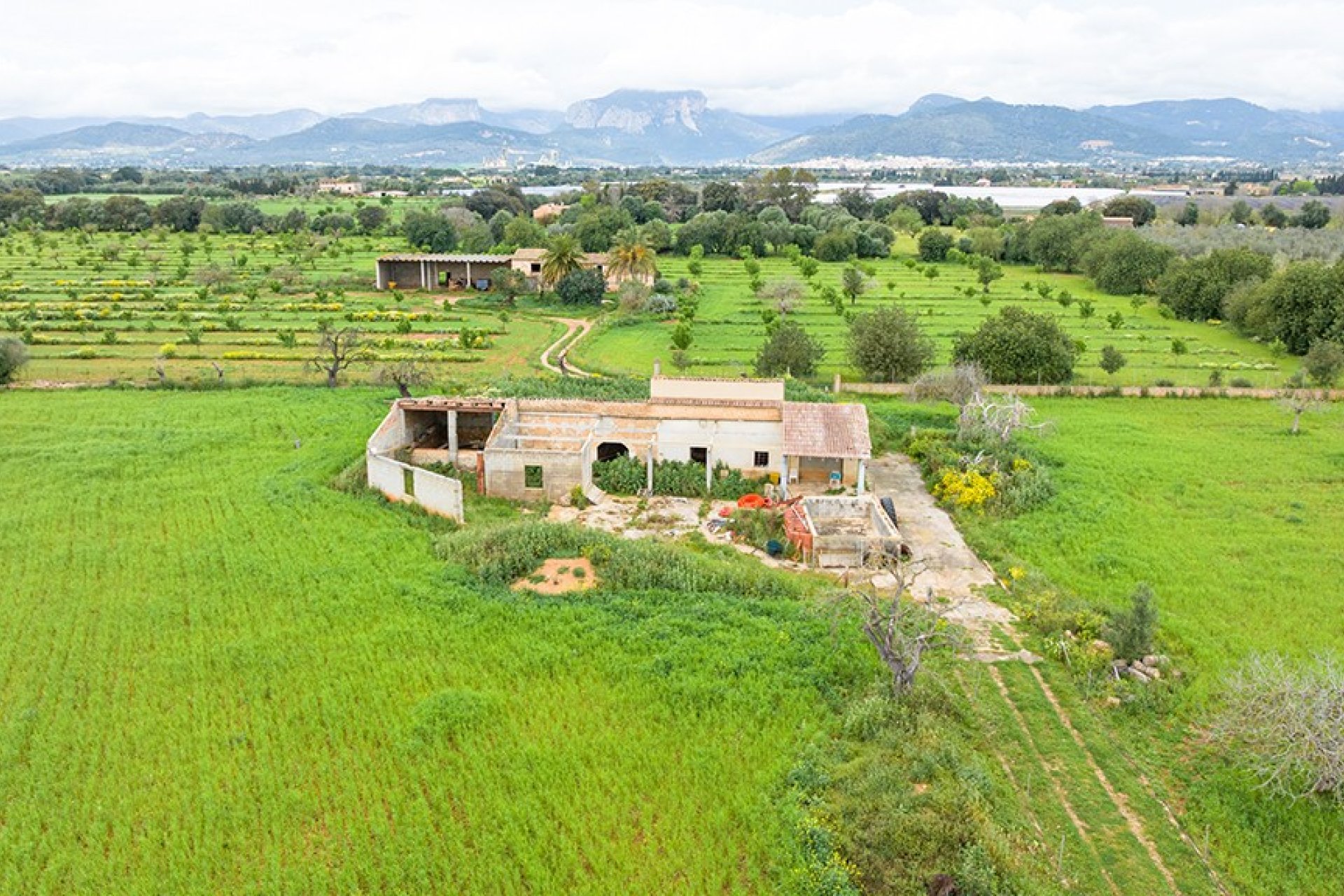 Resale - Land - Binissalem