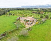 Resale - Land - Binissalem