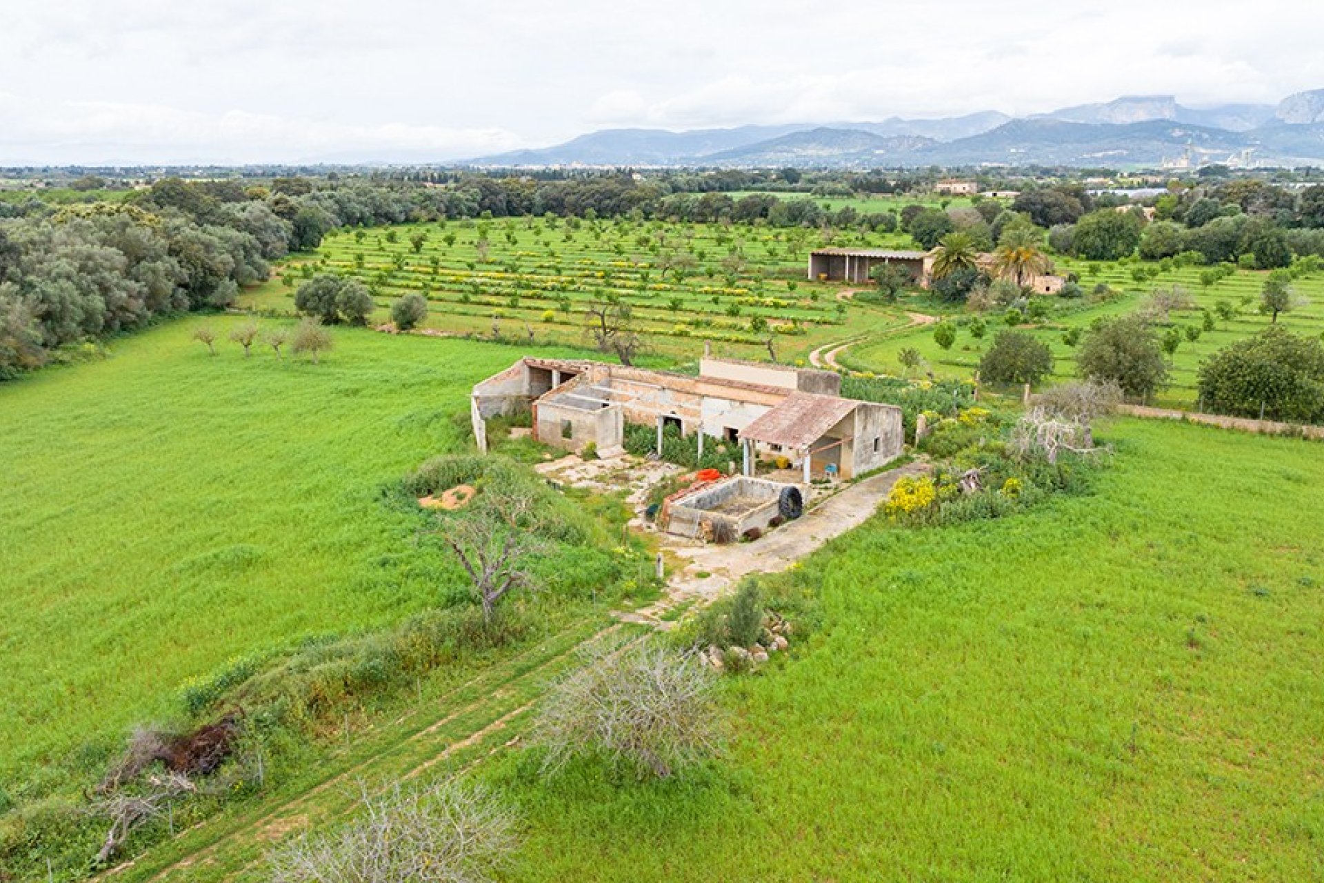 Resale - Land - Binissalem