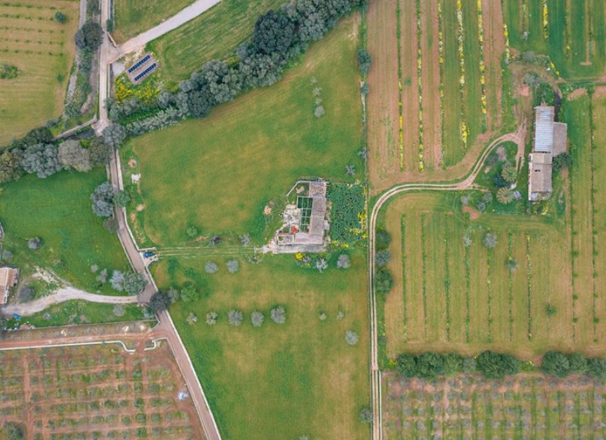 Resale - Land - Binissalem