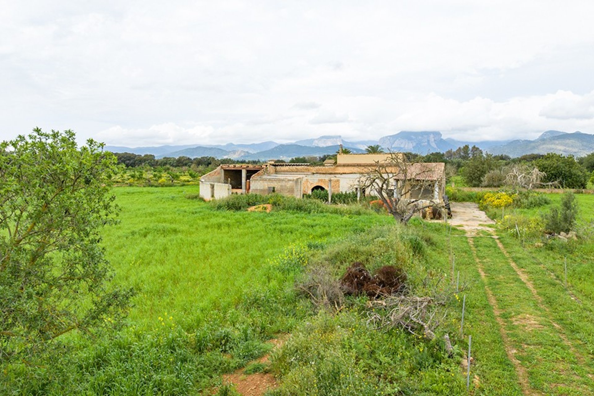 Resale - Land - Binissalem