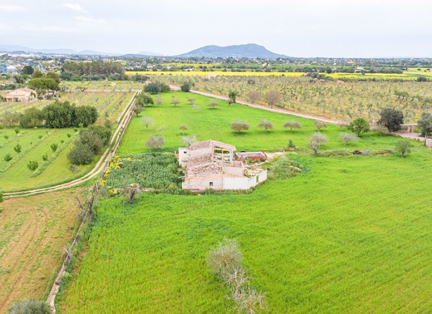 Resale - Land - Binissalem