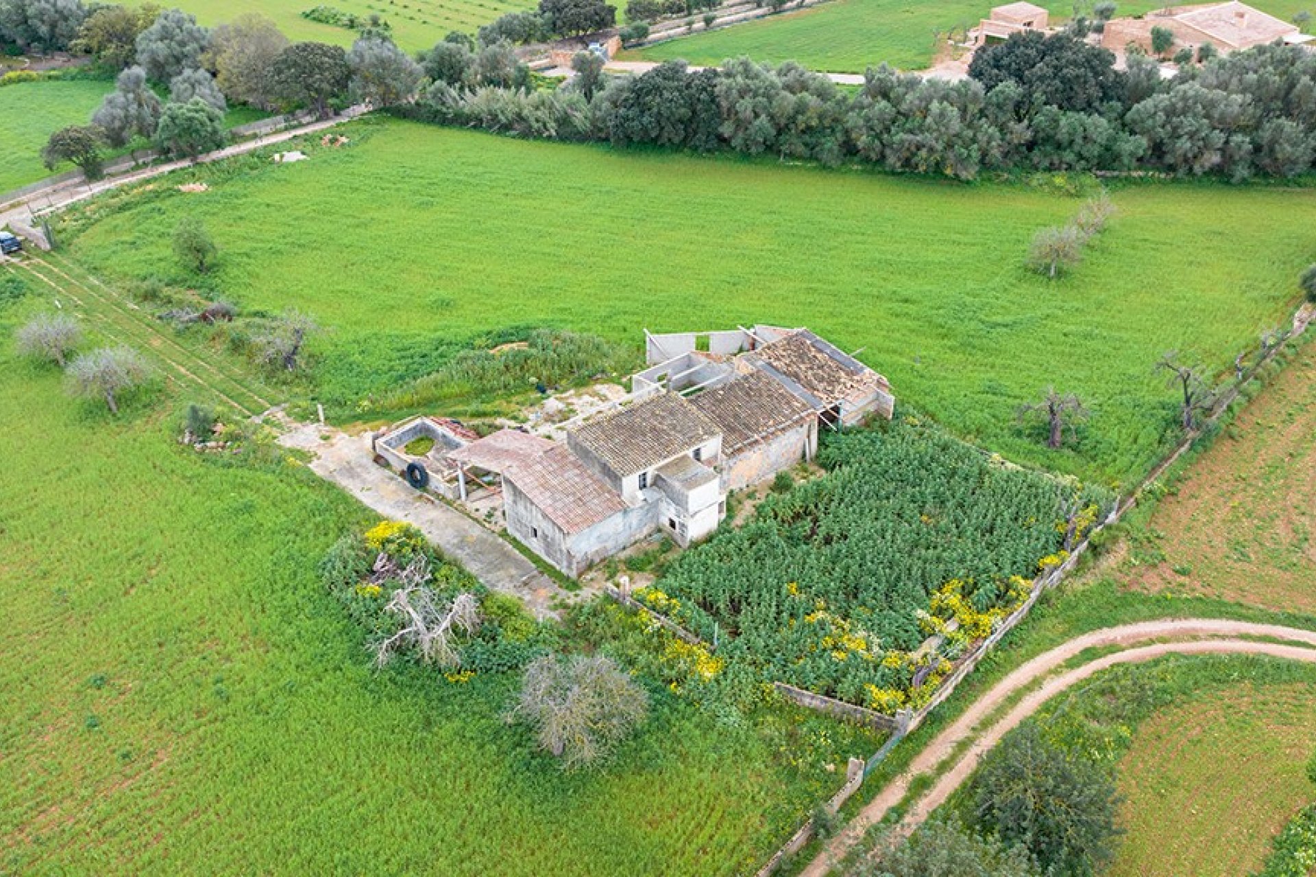 Resale - Land - Binissalem