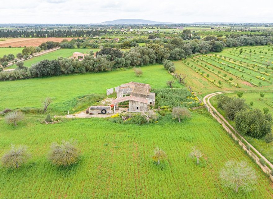 Resale - Land - Binissalem