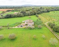 Resale - Land - Binissalem