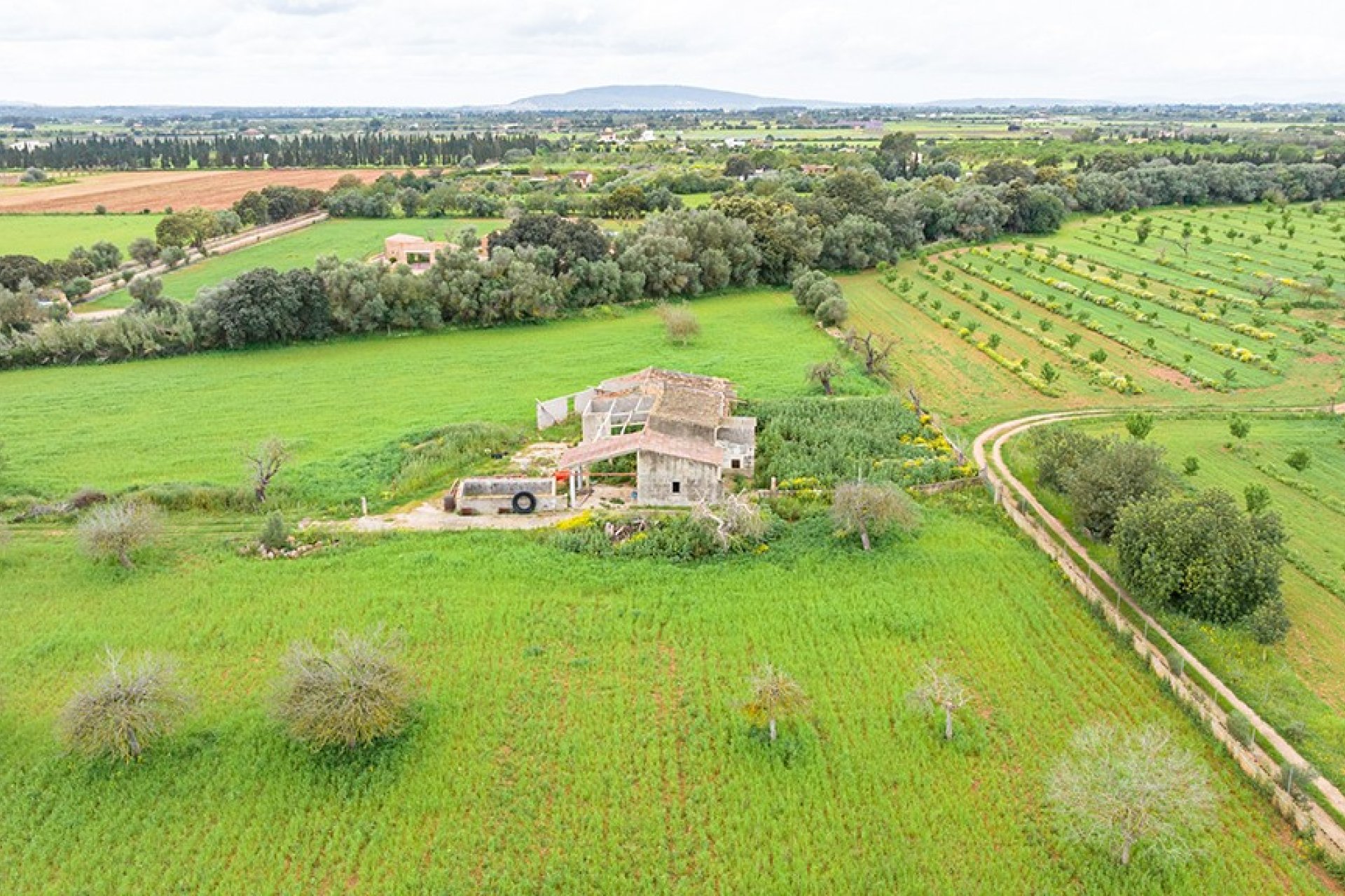 Resale - Land - Binissalem