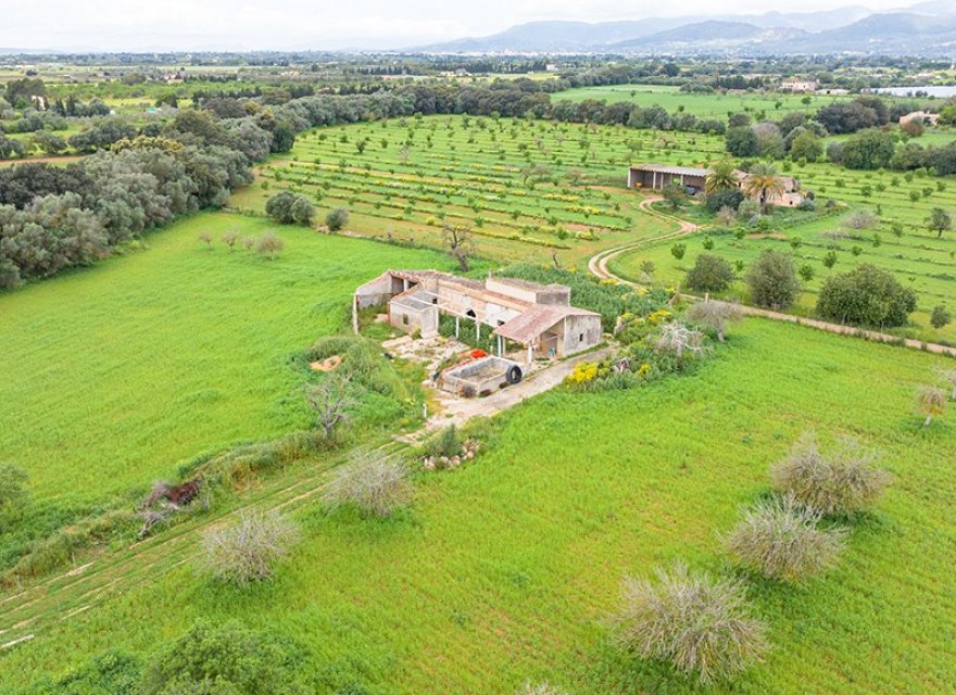 Resale - Land - Binissalem